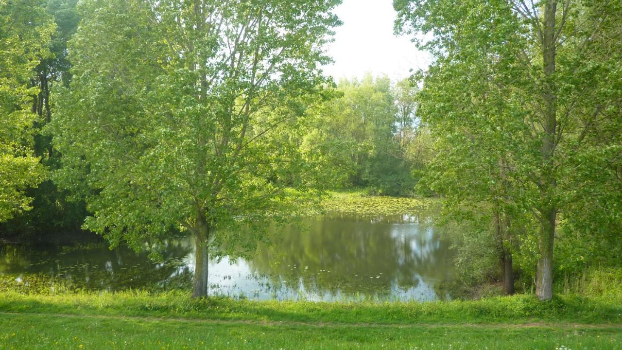 De Slaapmus Bed and Breakfast Boven-Leeuwen Exteriör bild